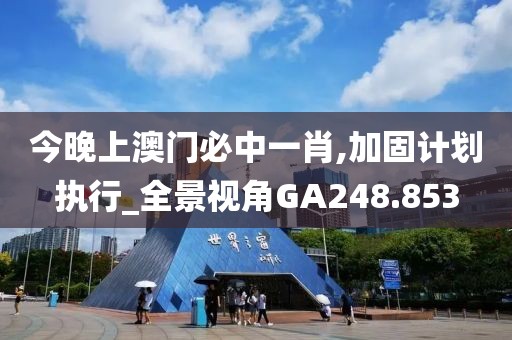今晚上澳门必中一肖,加固计划执行_全景视角GA248.853