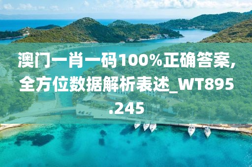 澳门一肖一码100%正确答案,全方位数据解析表述_WT895.245