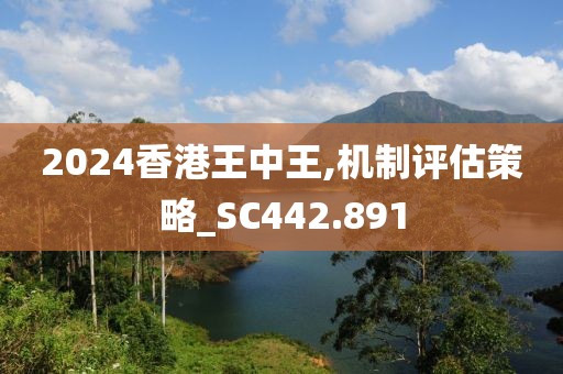 2024香港王中王,机制评估策略_SC442.891