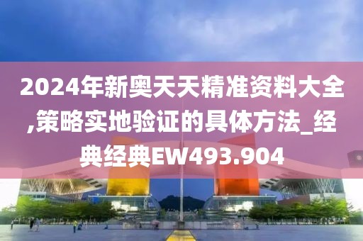 2024年新奥天天精准资料大全,策略实地验证的具体方法_经典经典EW493.904