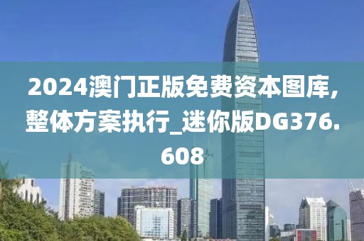 2024澳门正版免费资本图库,整体方案执行_迷你版DG376.608
