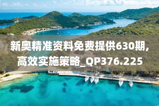 新奥精准资料免费提供630期,高效实施策略_QP376.225
