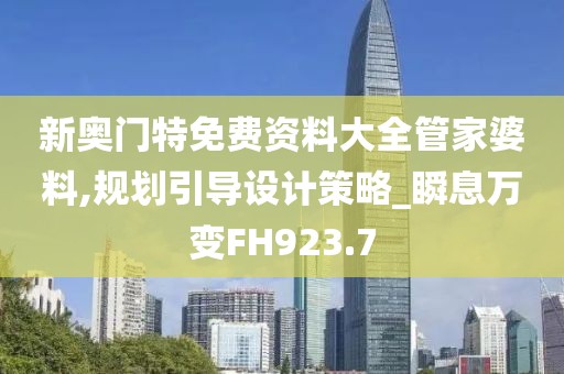 新奥门特免费资料大全管家婆料,规划引导设计策略_瞬息万变FH923.7