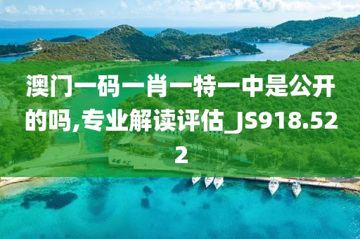 澳门一码一肖一特一中是公开的吗,专业解读评估_JS918.522