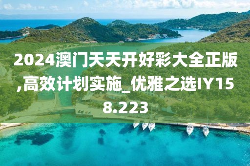 2024澳门天天开好彩大全正版,高效计划实施_优雅之选IY158.223