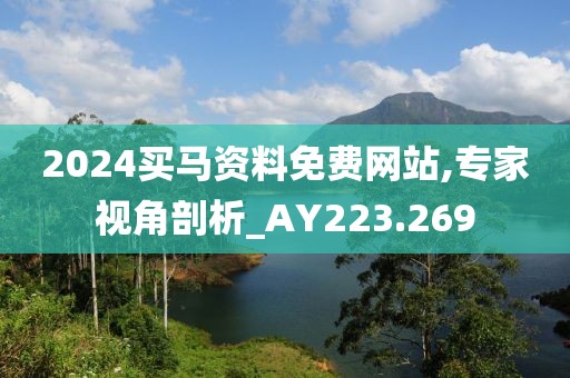 2024买马资料免费网站,专家视角剖析_AY223.269