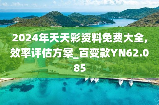 2024年天天彩资料免费大全,效率评估方案_百变款YN62.085