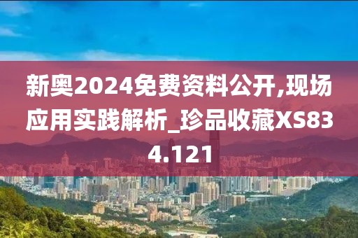 新奥2024免费资料公开,现场应用实践解析_珍品收藏XS834.121