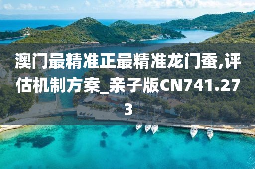 澳门最精准正最精准龙门蚕,评估机制方案_亲子版CN741.273