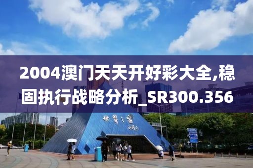 2004澳门天天开好彩大全,稳固执行战略分析_SR300.356