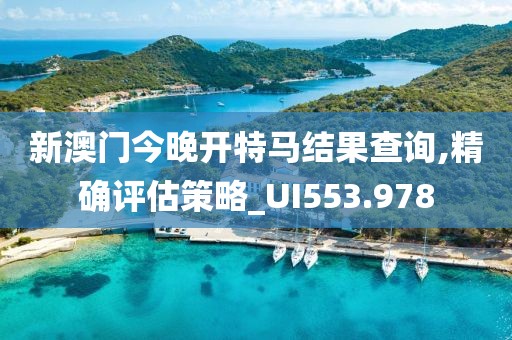 新澳门今晚开特马结果查询,精确评估策略_UI553.978