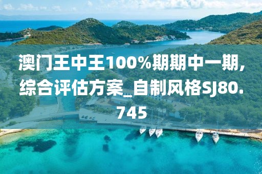 澳门王中王100%期期中一期,综合评估方案_自制风格SJ80.745