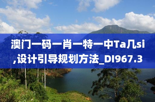 澳门一码一肖一特一中Ta几si,设计引导规划方法_DI967.3