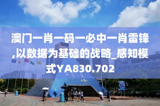 澳门一肖一码一必中一肖雷锋,以数据为基础的战略_感知模式YA830.702