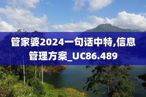 管家婆2024一句话中特,信息管理方案_UC86.489