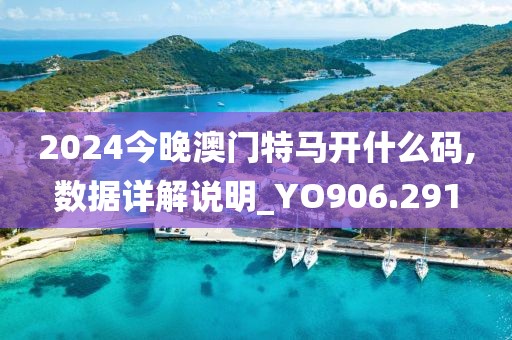 2024今晚澳门特马开什么码,数据详解说明_YO906.291