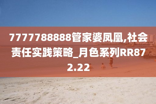 7777788888管家婆凤凰,社会责任实践策略_月色系列RR872.22