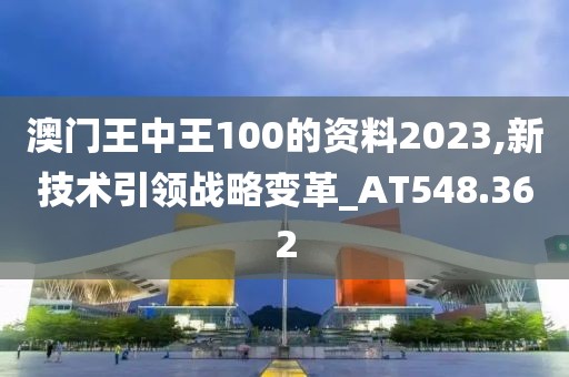 澳门王中王100的资料2023,新技术引领战略变革_AT548.362