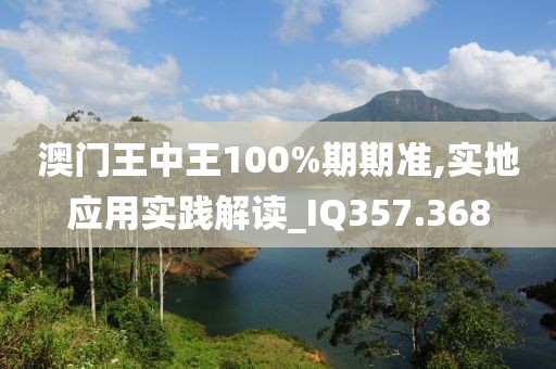 澳门王中王100%期期准,实地应用实践解读_IQ357.368