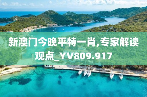 新澳门今晚平特一肖,专家解读观点_YV809.917