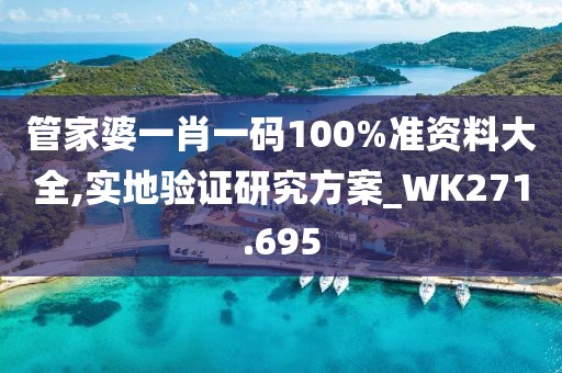 管家婆一肖一码100%准资料大全,实地验证研究方案_WK271.695