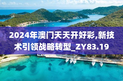 2024年澳门天天开好彩,新技术引领战略转型_ZY83.19