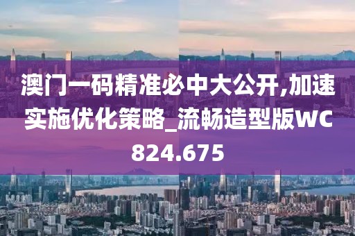 澳门一码精准必中大公开,加速实施优化策略_流畅造型版WC824.675