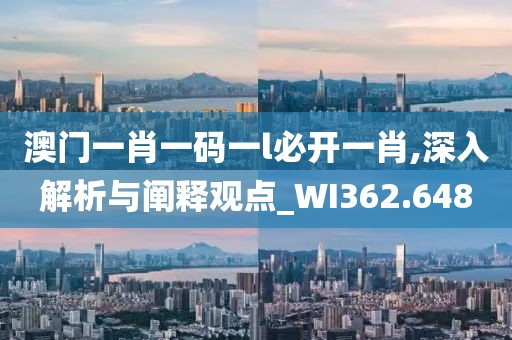 澳门一肖一码一l必开一肖,深入解析与阐释观点_WI362.648
