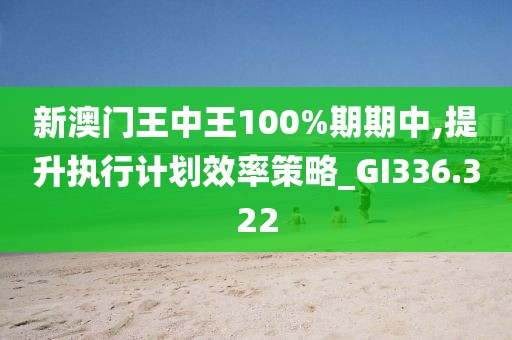 新澳门王中王100%期期中,提升执行计划效率策略_GI336.322