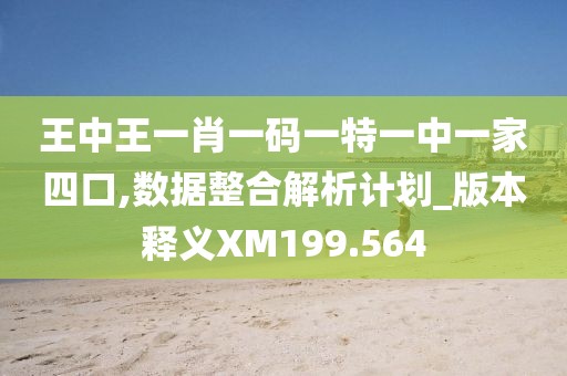 王中王一肖一码一特一中一家四口,数据整合解析计划_版本释义XM199.564