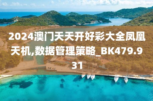 2024澳门天天开好彩大全凤凰天机,数据管理策略_BK479.931