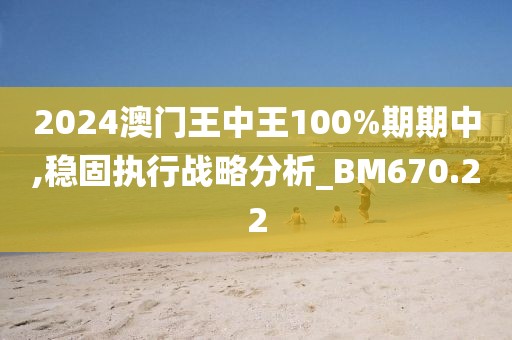 2024澳门王中王100%期期中,稳固执行战略分析_BM670.22