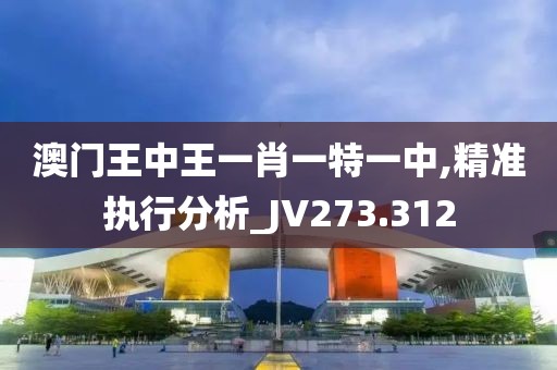 澳门王中王一肖一特一中,精准执行分析_JV273.312
