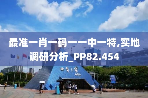 最准一肖一码一一中一特,实地调研分析_PP82.454