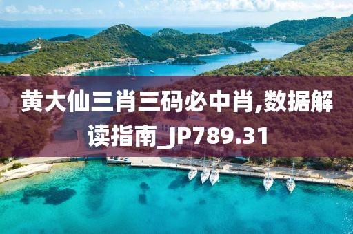 黄大仙三肖三码必中肖,数据解读指南_JP789.31