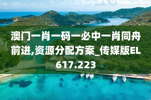 澳门一肖一码一必中一肖同舟前进,资源分配方案_传媒版EL617.223