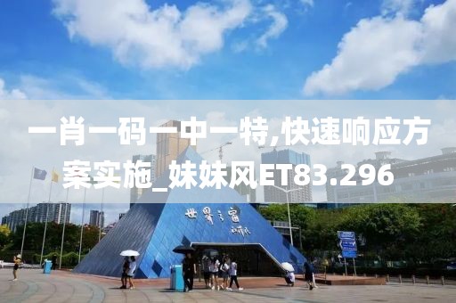 一肖一码一中一特,快速响应方案实施_妹妹风ET83.296