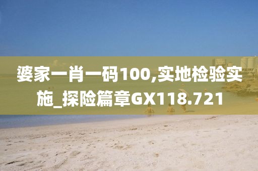 婆家一肖一码100,实地检验实施_探险篇章GX118.721