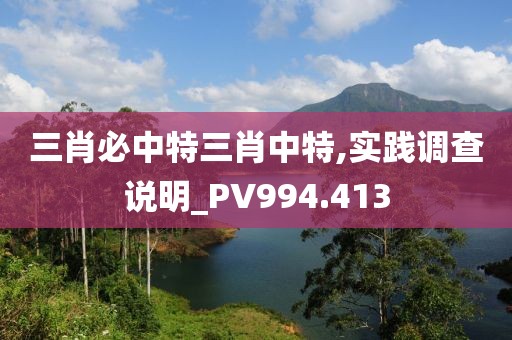 三肖必中特三肖中特,实践调查说明_PV994.413