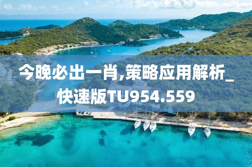 今晚必出一肖,策略应用解析_快速版TU954.559