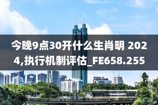 今晚9点30开什么生肖明 2024,执行机制评估_FE658.255