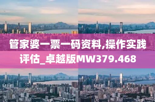 管家婆一票一码资料,操作实践评估_卓越版MW379.468