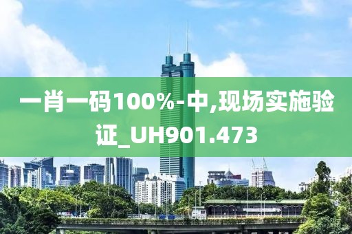 一肖一码100%-中,现场实施验证_UH901.473