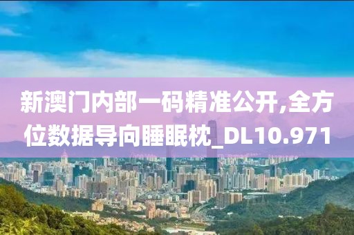 新澳门内部一码精准公开,全方位数据导向睡眠枕_DL10.971