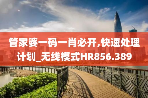 管家婆一码一肖必开,快速处理计划_无线模式HR856.389