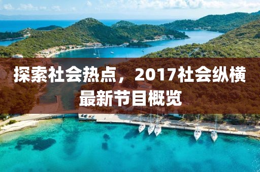 探索社会热点，2017社会纵横最新节目概览