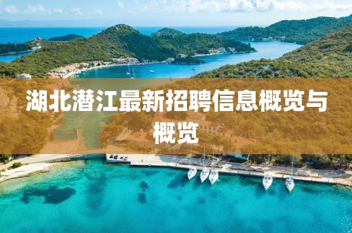 湖北潜江最新招聘信息概览与概览