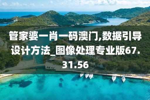 管家婆一肖一码澳门,数据引导设计方法_图像处理专业版67.31.56