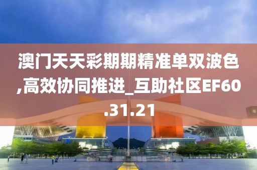澳门天天彩期期精准单双波色,高效协同推进_互助社区EF60.31.21