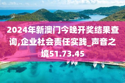 2024年新澳门今晚开奖结果查询,企业社会责任实践_声音之境51.73.45